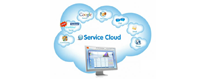 services